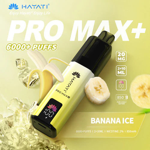 Hayati Pro Max+ 6000 Puffs Disposable