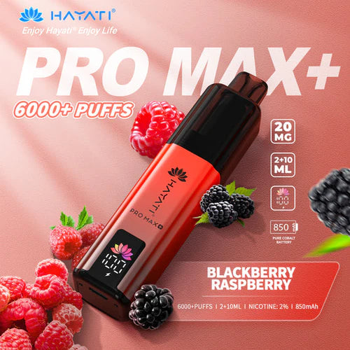 Hayati Pro Max+ 6000 Puffs Disposable