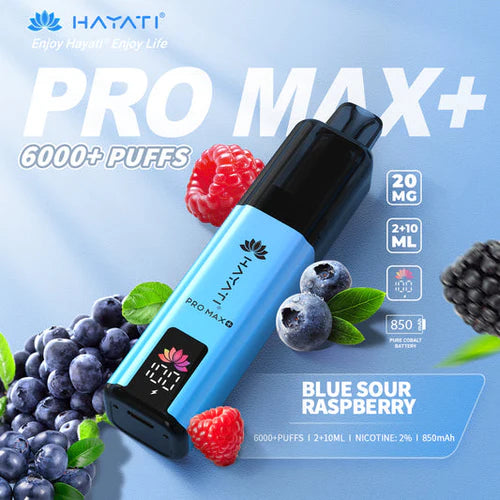 Hayati Pro Max+ 6000 Puffs Disposable