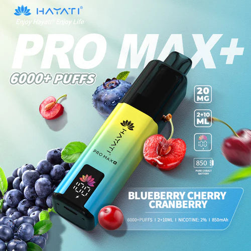 Hayati Pro Max+ 6000 Puffs Disposable