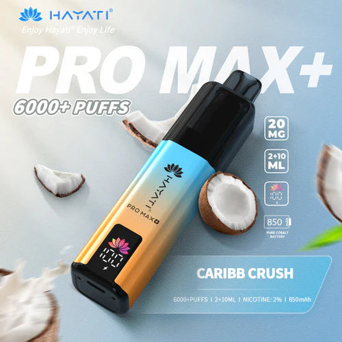 Hayati Pro Max+ 6000 Puffs Disposable