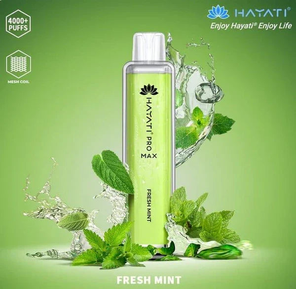 Hayati Pro Max 4000 Puffs Disposable